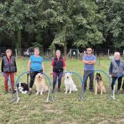 Chiens et maîtres section Hoopers