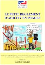 Image reglement agility