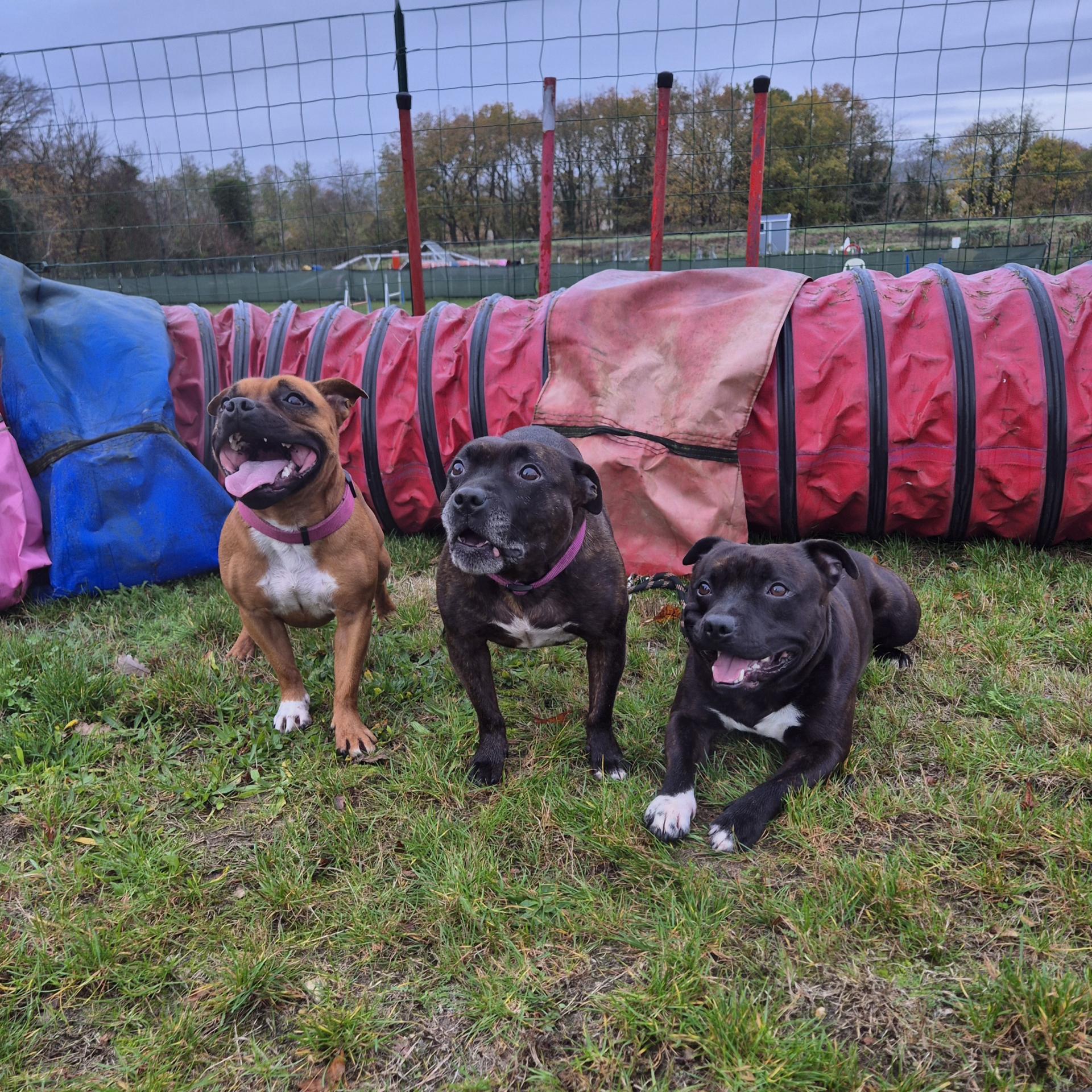 Thais Phoebee et t'junior